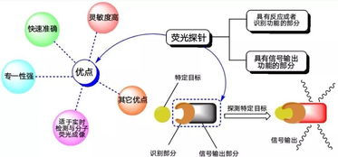 第十二屆“挑戰(zhàn)杯”大學(xué)生課外學(xué)術(shù)科技作品競(jìng)賽優(yōu)秀作品展示（四） 環(huán)境科技領(lǐng)域的技術(shù)開(kāi)發(fā)