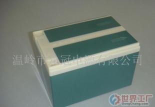 車(chē)澎湃，價(jià)共贏——聚焦摩托車(chē)蓄電池批發(fā)市場(chǎng)的資源整合與價(jià)格真相