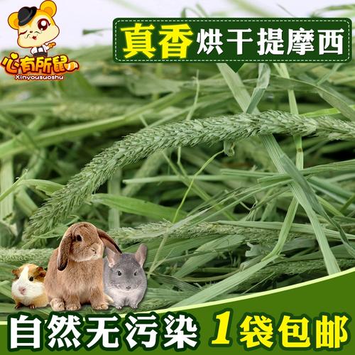 烘干提摩西草 兔子、豚鼠、荷蘭豬與龍貓的理想草糧與墊料全指南